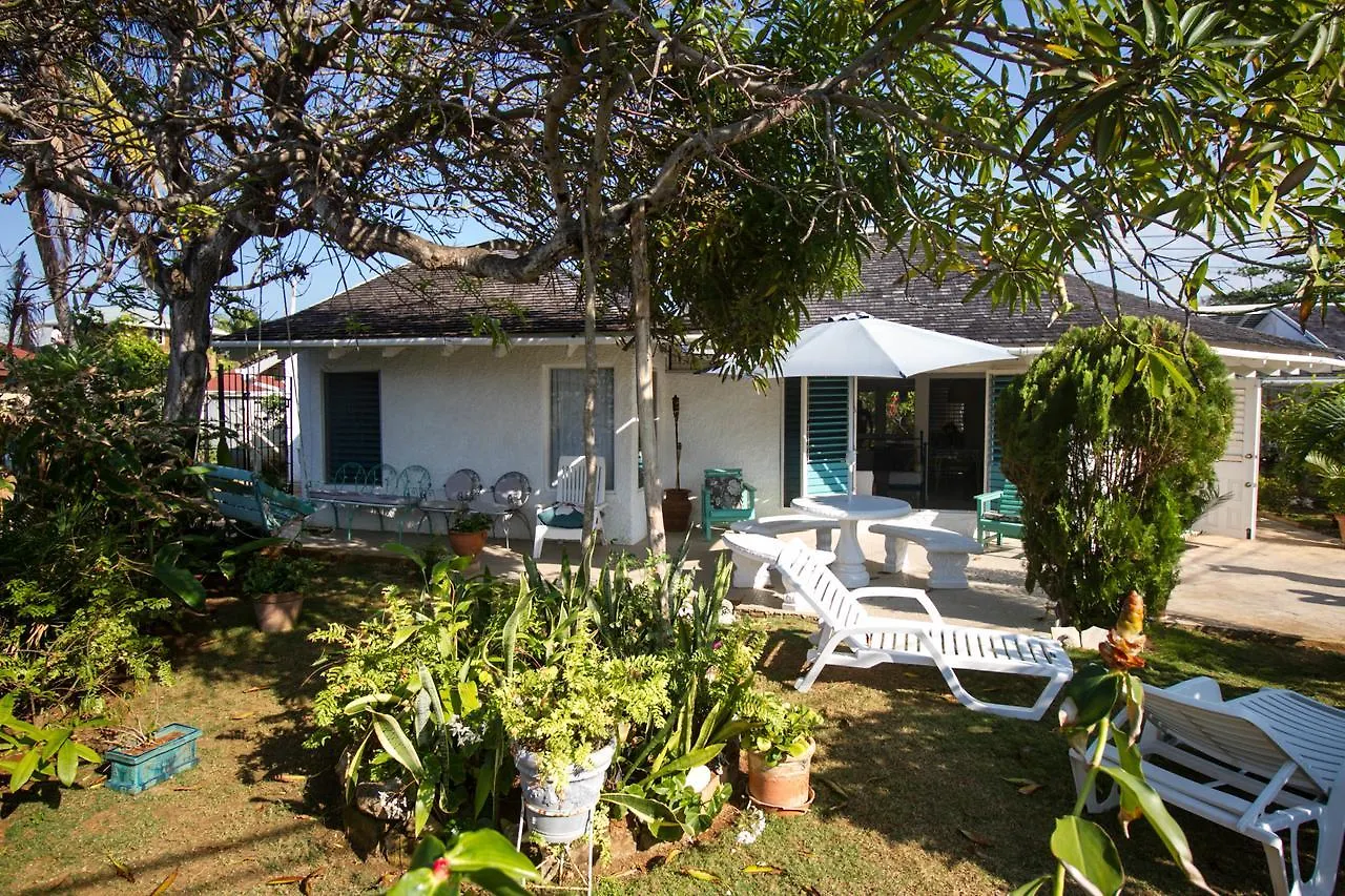Beach Villa Yellow Canary Duncans